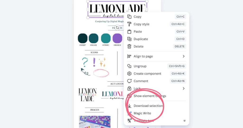 Step 3: Right-click one of your grouped logos and select 'Download Selection' at the bottom of the menu.