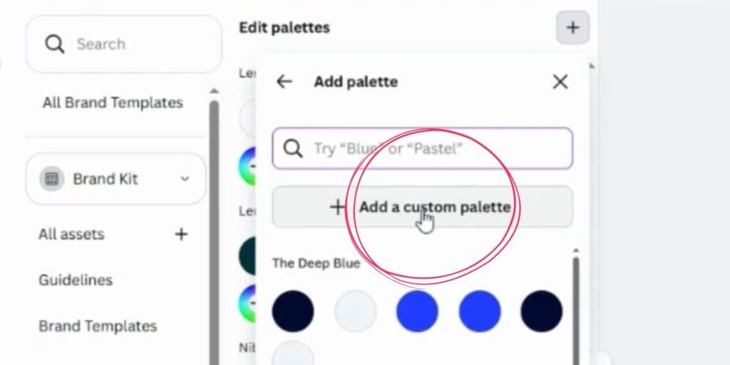 Step 4: choose 'Add Custom Palette +.'