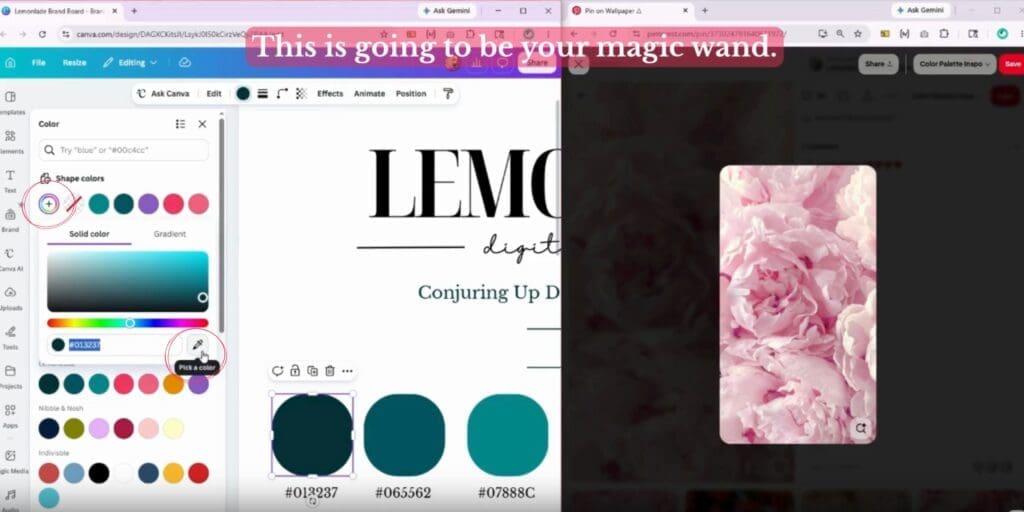 Step 3: The Canva 'Add New Color' menu showing the colorful rainbow circle with a plus sign and the eyedropper tool icon.