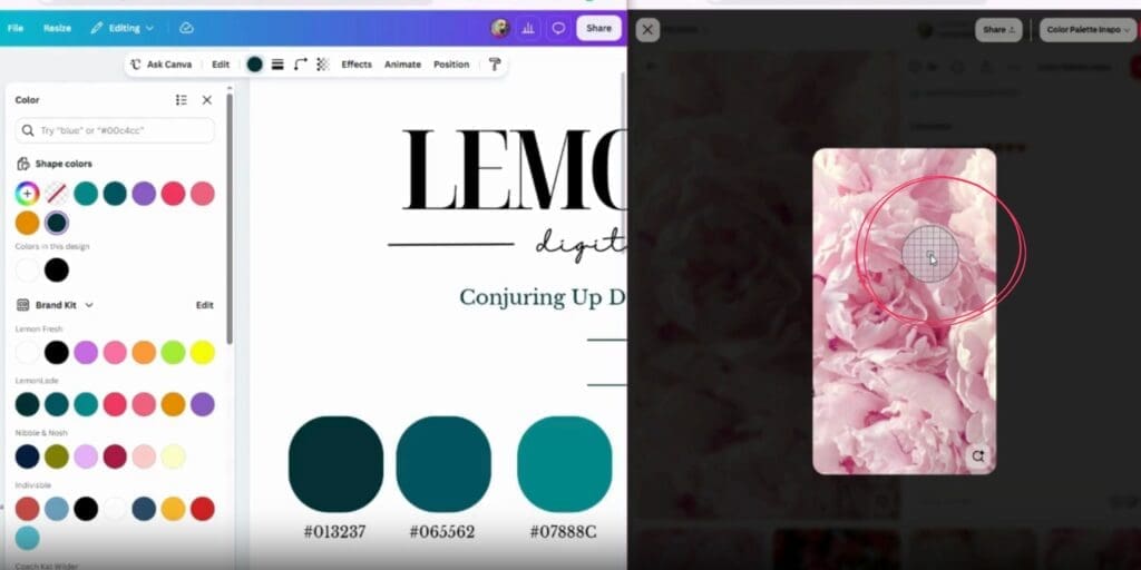 Step 4: The eyedropper tool icon hovering over the reference image in the second window, ready to select a specific shade.